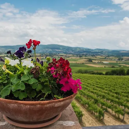 Agriturismo Chiorri Gospodarstwo agroturystyczne